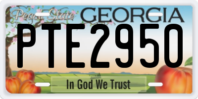 GA license plate PTE2950