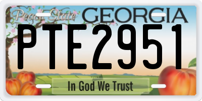 GA license plate PTE2951