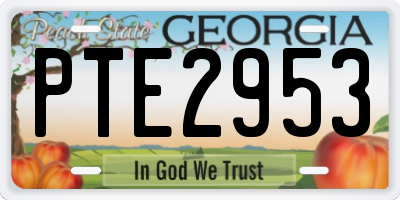 GA license plate PTE2953
