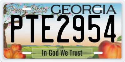 GA license plate PTE2954