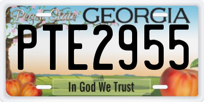 GA license plate PTE2955