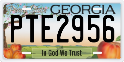 GA license plate PTE2956