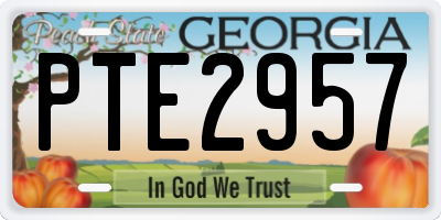 GA license plate PTE2957
