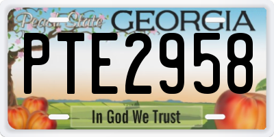 GA license plate PTE2958
