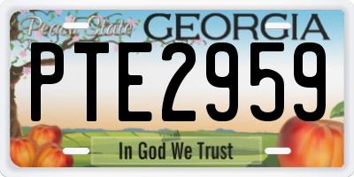 GA license plate PTE2959