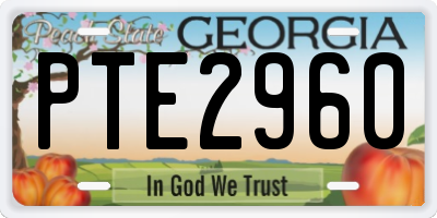 GA license plate PTE2960