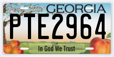 GA license plate PTE2964