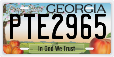 GA license plate PTE2965