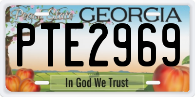 GA license plate PTE2969