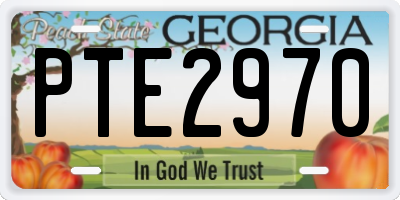 GA license plate PTE2970