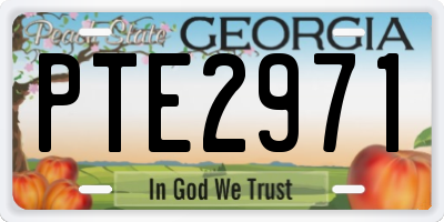 GA license plate PTE2971