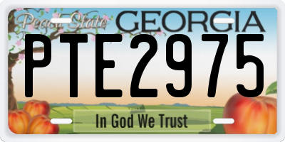 GA license plate PTE2975