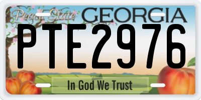 GA license plate PTE2976
