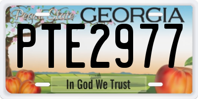 GA license plate PTE2977