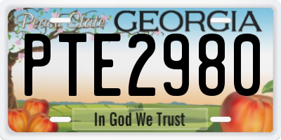 GA license plate PTE2980