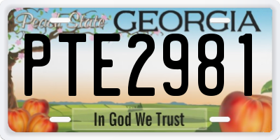 GA license plate PTE2981