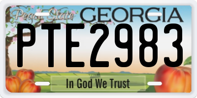GA license plate PTE2983