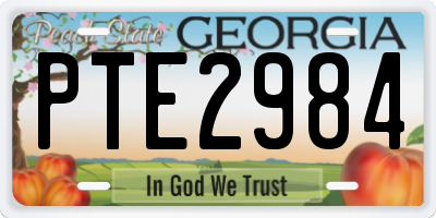 GA license plate PTE2984