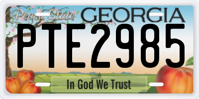 GA license plate PTE2985