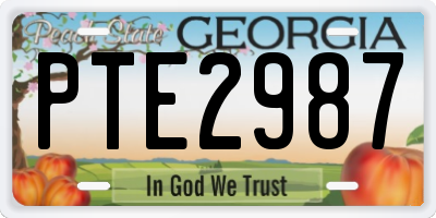 GA license plate PTE2987
