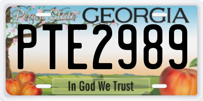 GA license plate PTE2989