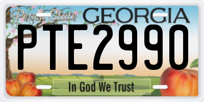 GA license plate PTE2990