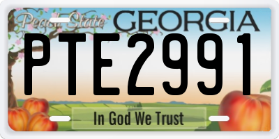 GA license plate PTE2991