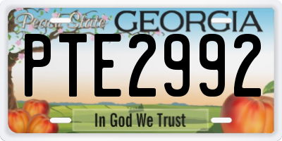 GA license plate PTE2992
