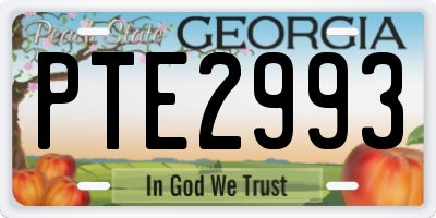 GA license plate PTE2993