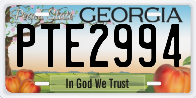 GA license plate PTE2994
