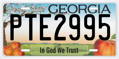 GA license plate PTE2995