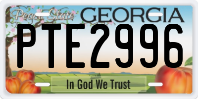 GA license plate PTE2996