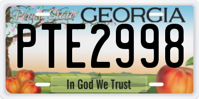 GA license plate PTE2998