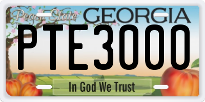 GA license plate PTE3000