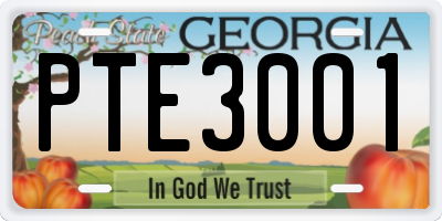GA license plate PTE3001