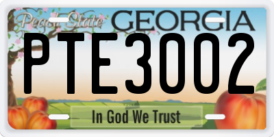 GA license plate PTE3002