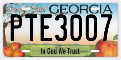 GA license plate PTE3007