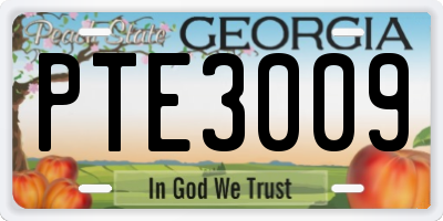 GA license plate PTE3009