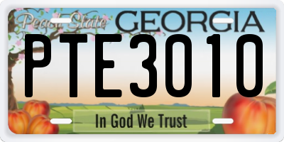 GA license plate PTE3010