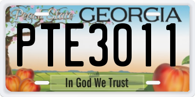 GA license plate PTE3011