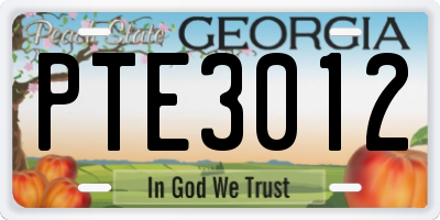 GA license plate PTE3012
