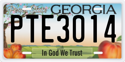 GA license plate PTE3014