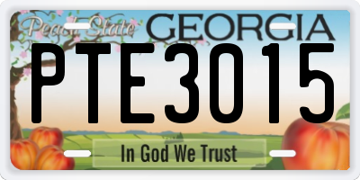 GA license plate PTE3015
