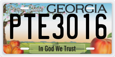 GA license plate PTE3016