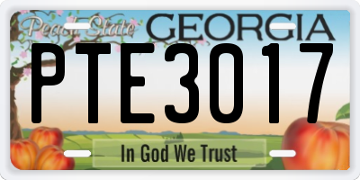 GA license plate PTE3017