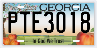 GA license plate PTE3018