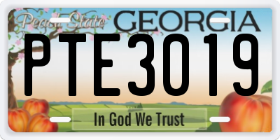 GA license plate PTE3019