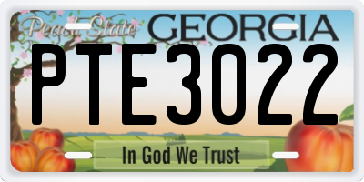 GA license plate PTE3022
