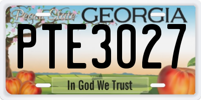 GA license plate PTE3027