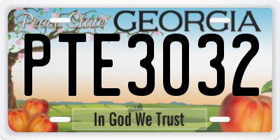 GA license plate PTE3032